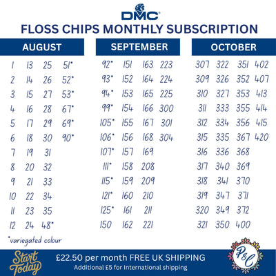 DMC Acrylic Floss Chip Club (12 months)